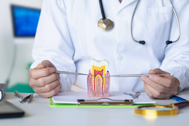 Best Dental Abscess Treatment in Harbor Bluffs, FL